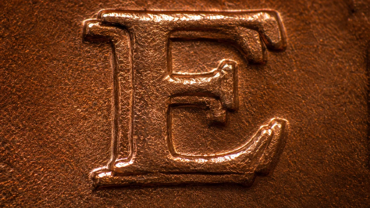 Extreme macro of a raised leaf with a second overlapping outline separating into a notch at the tip